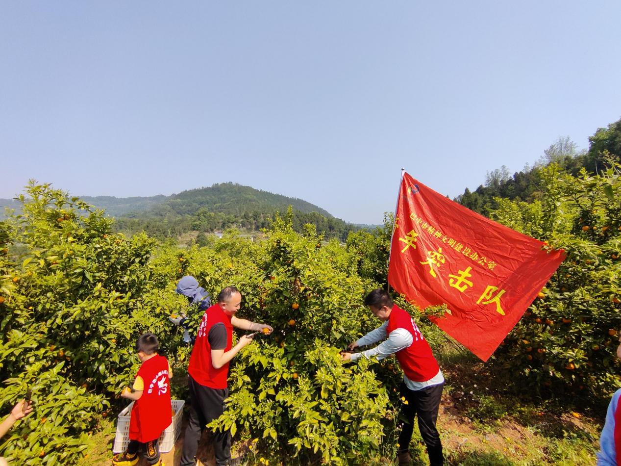 圖片1.png