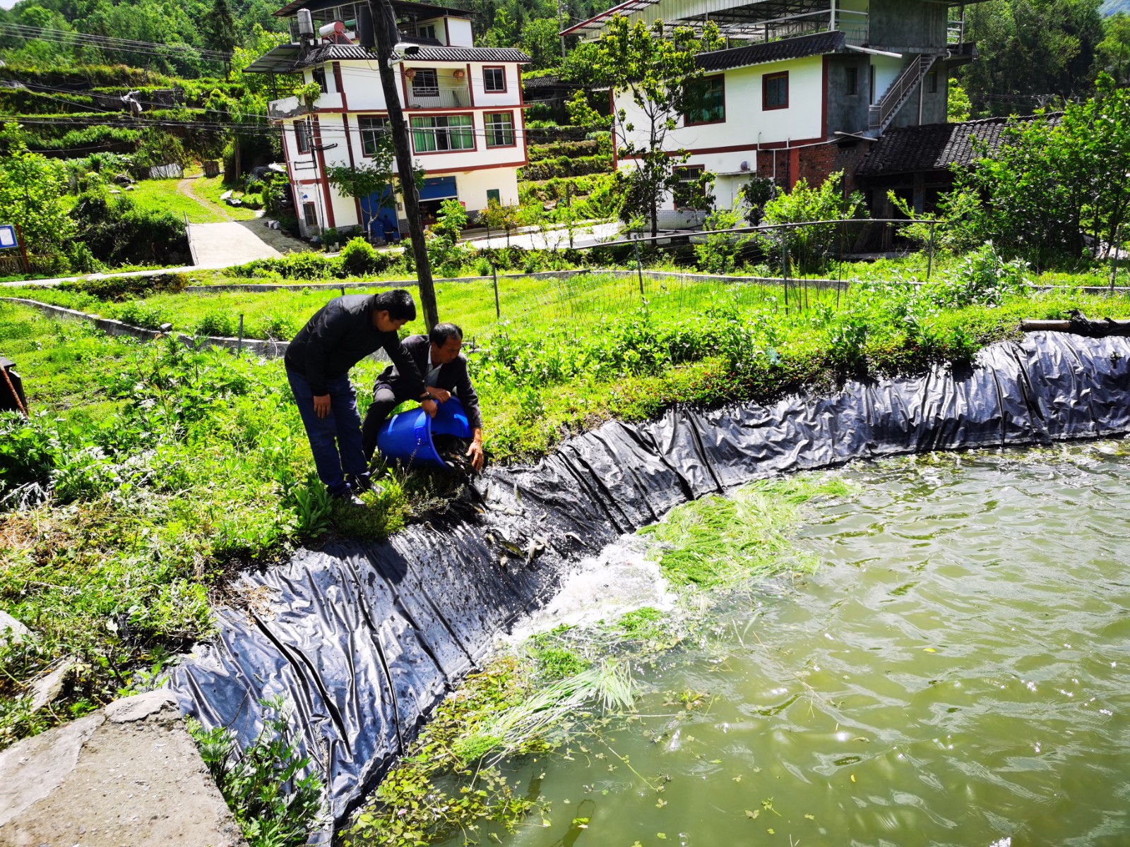 1653632070110548.jpg 515738456.jpg