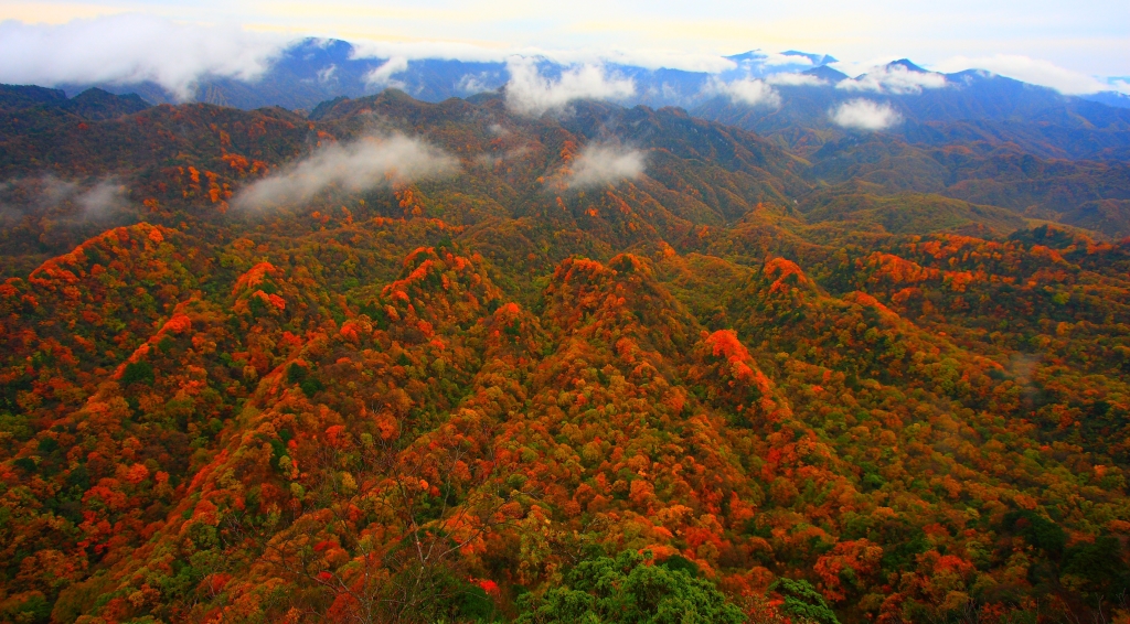 光霧山紅葉